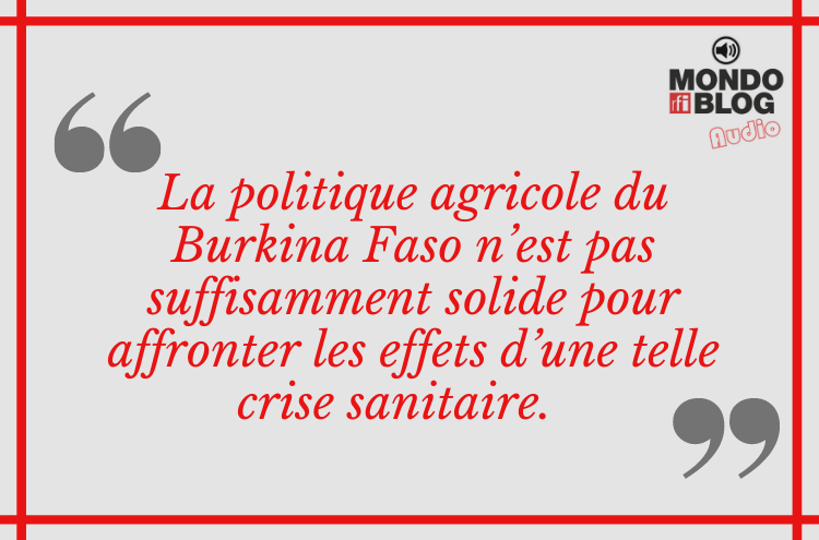 Article : Comment le monde agricole burkinabè se tourne vers l’agroécologie après le Covid-19