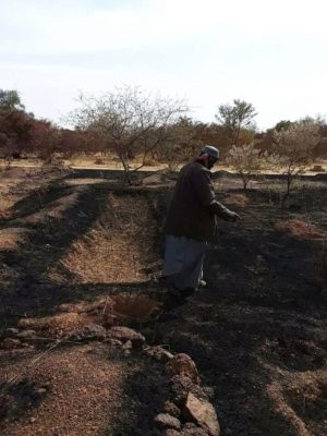 Article : La forêt de Yacouba Sawadogo, prix Nobel alternatif, ravagée par les flammes