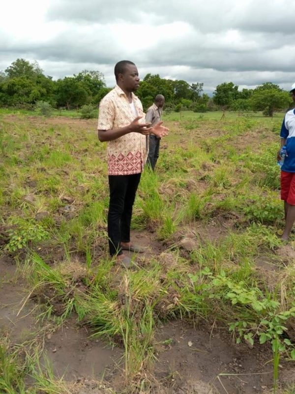 Article : Comment le Burkina Faso fait-il face au changement climatique ?