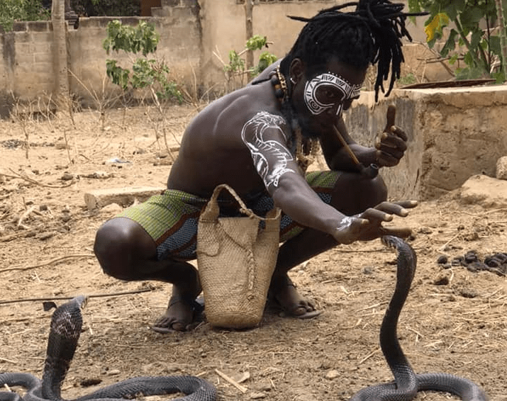 Article : « Le serpent est plus sage que l’Homme » : Degaule Panda, l’homme qui parle aux serpents