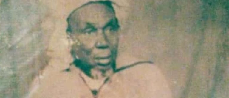Article : Thierno Souleymane Agne, l’agriculteur sénégalais qui a joué un grand rôle durant la Seconde Guerre mondiale